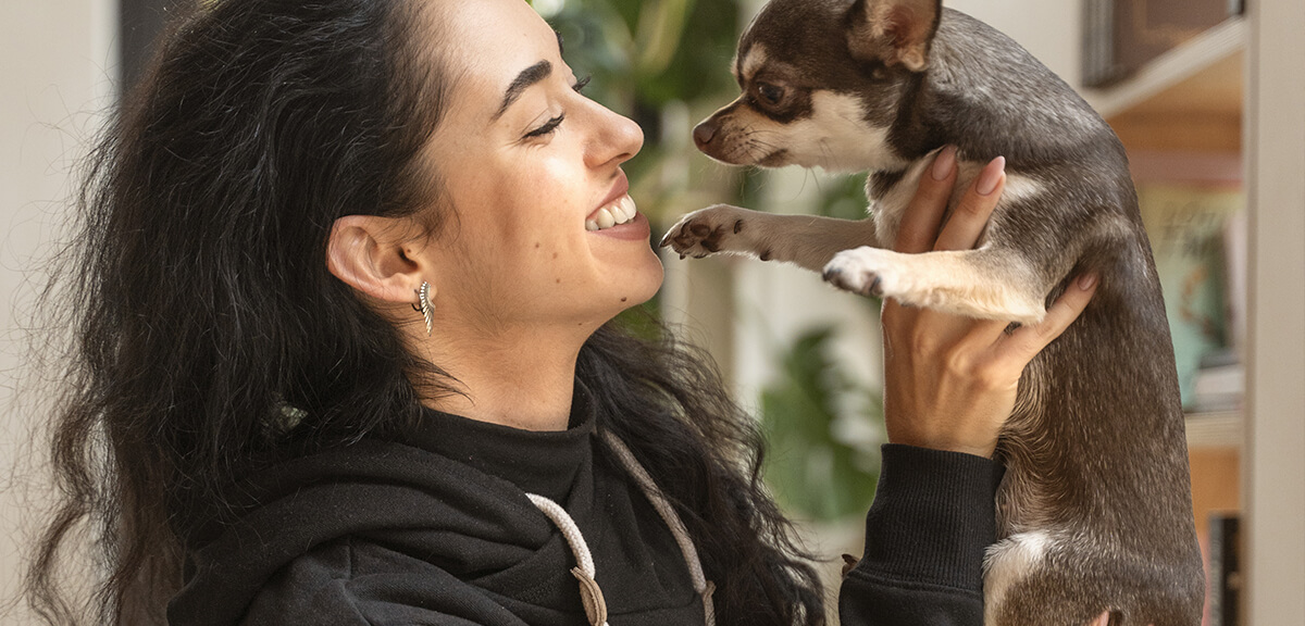 petsbanner