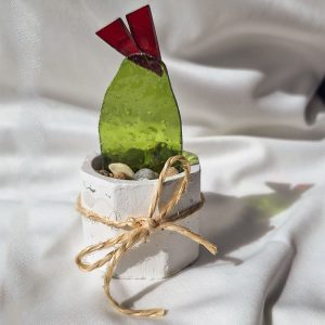 Macetitas con Cactus