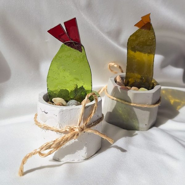 Macetitas con Cactus - Imagen 3