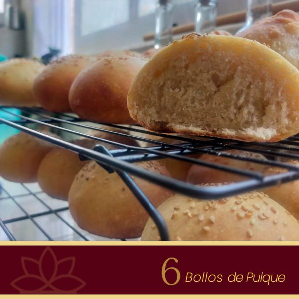 6 bollos de pulque