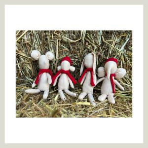 Set de 4 Amigos Mágicos