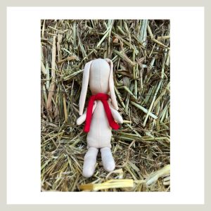 DANIKA, la Conejita de los sueños