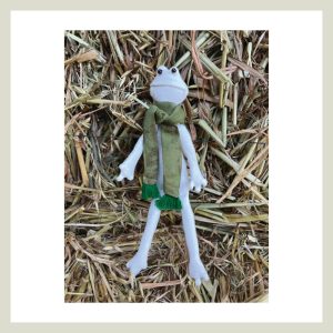 TOTOLA, la Rana que Transforma