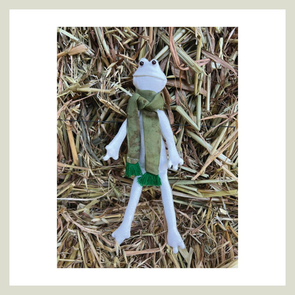 TOTOLA, la Rana que Transforma