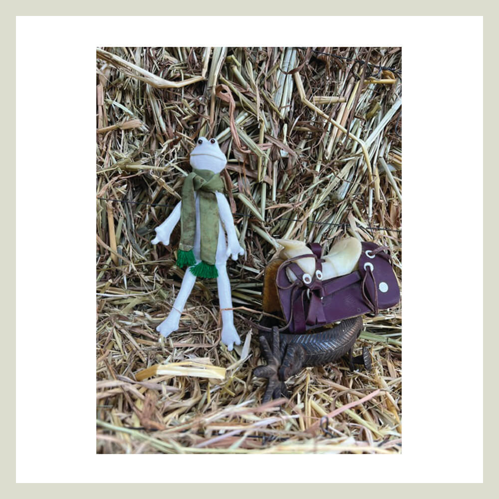 TOTOLA, la Rana que Transforma - Imagen 2