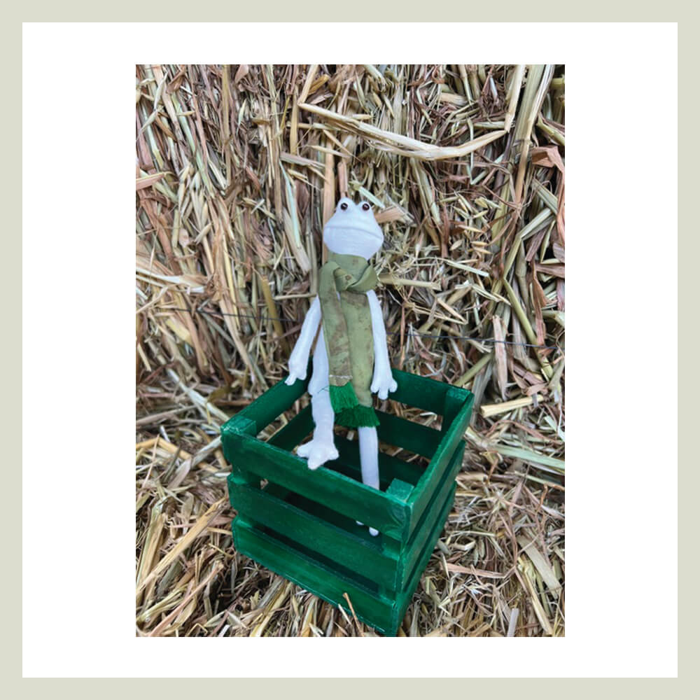 TOTOLA, la Rana que Transforma - Imagen 3