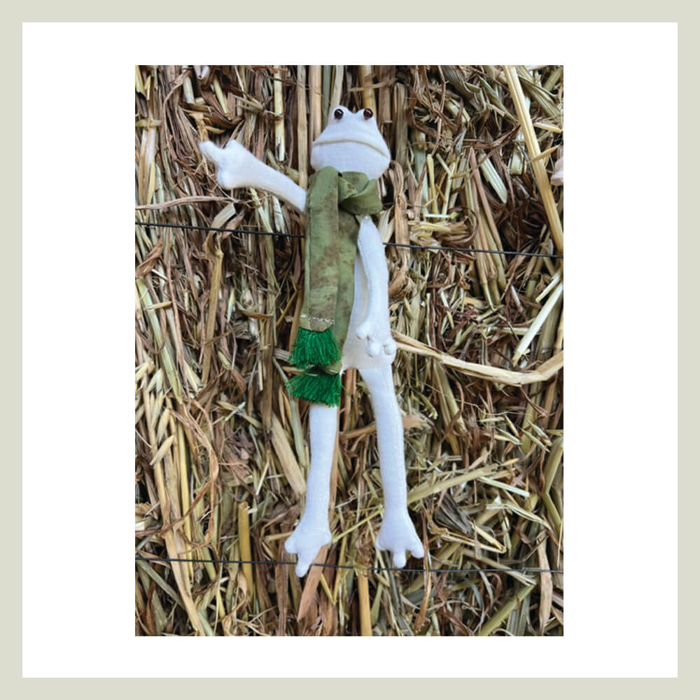 TOTOLA, la Rana que Transforma - Imagen 4